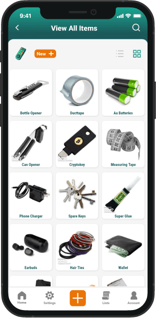 all items in phone